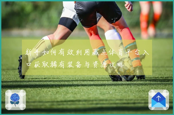 新手如何有效利用赢点体育平台入口获取稀有装备与资源攻略
