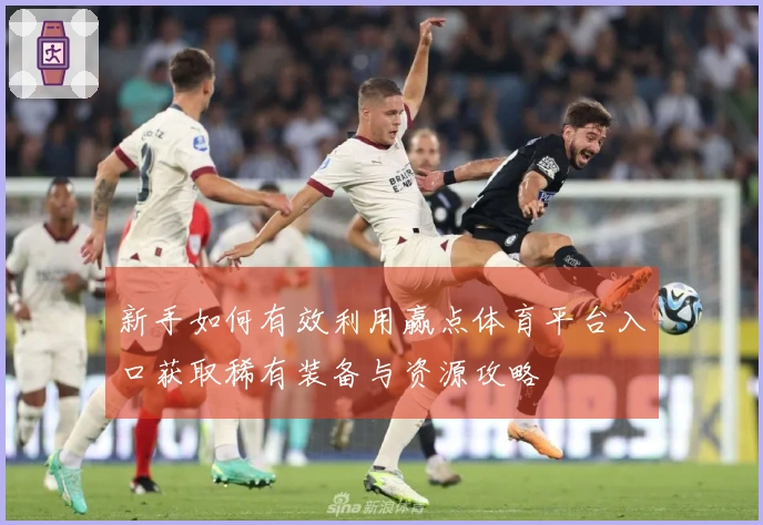 新手如何有效利用赢点体育平台入口获取稀有装备与资源攻略